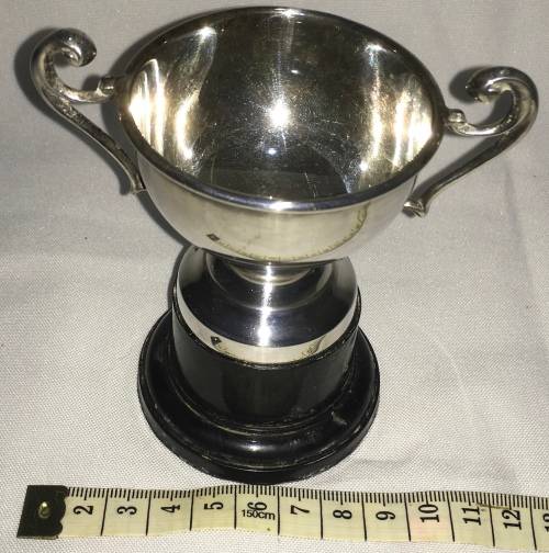 Trophy cup - EPNS