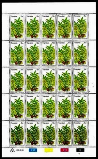 TRANSKEI - SET OF 4 FULL SHEETS OF 25 MNH STAMPS EACH - EDIBLE WILD FRUITS 1978.
