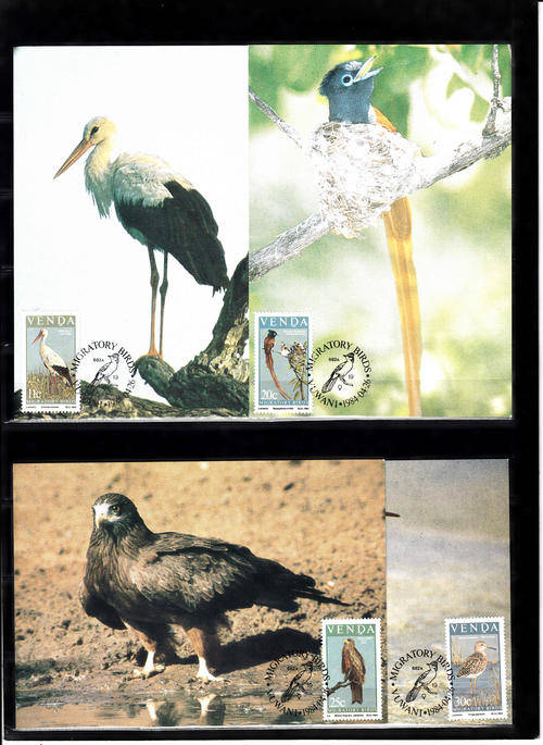 VENDA SACC 92-95:- SET OF 4 POSTCARDS - MIGRATORY BIRDS. CANCELLED IN VUWANI 26.4.1984