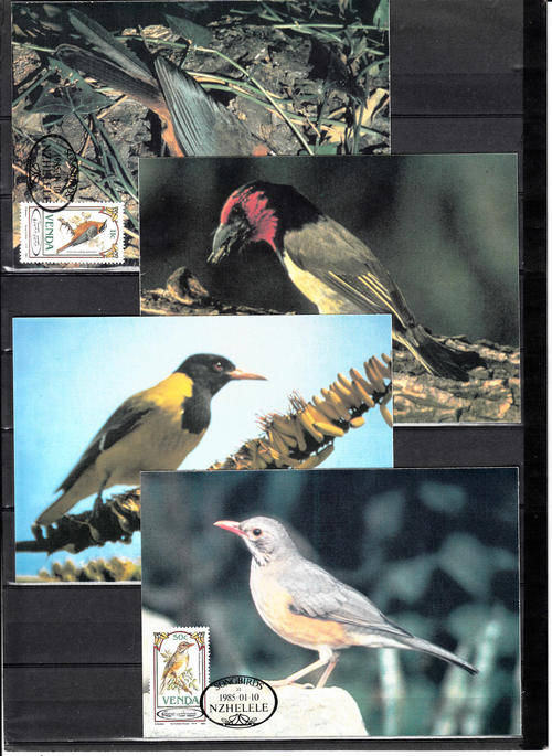VENDA SACC 104-107:- SET OF 4 POSTCARDS - SONGBIRDS. CANCELLED IN NZHELELE 10.1.1985