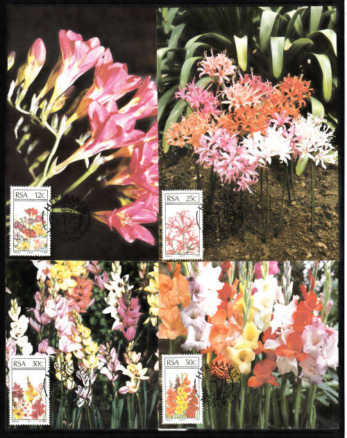 RSA: SACC 592-595: POSTCARDS SET OF 4 NO 30-33: SA FLORAL EMIGRANTS DATED 23.8.1985