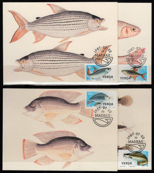 VENDA: SACC 160-163: MAXI CARDS NO 50-53: FRESHWATER FISH DATED 2.7.1987