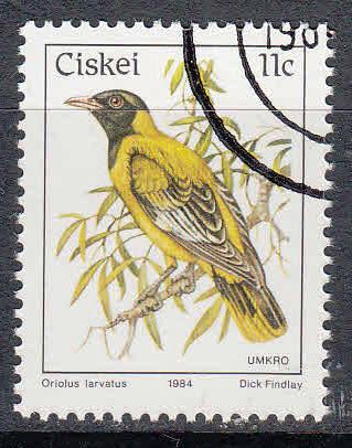 CISKEI: SACC 56: 2.4.1984: 11c ADDITIONAL VALUE TO DEFINITIVE SERIES. USED(CTO)
