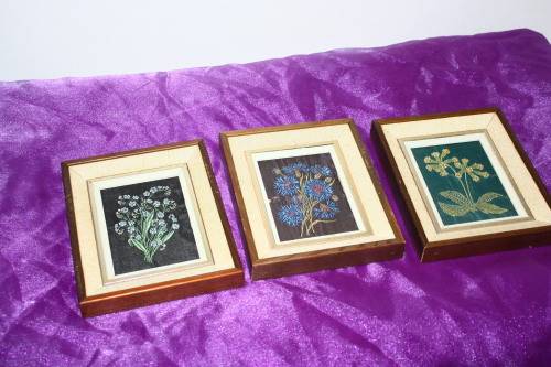 3 Small Framed prints