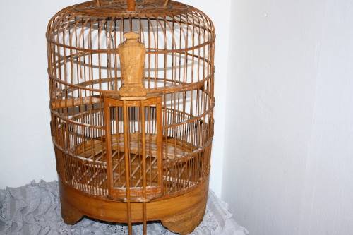 Bamboo Bird Cage