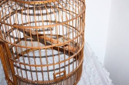 Bamboo Bird Cage
