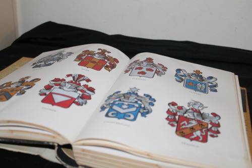 Die Groot Afrikaanse Familie Naam Boek C Pama