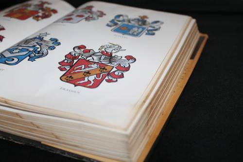 Die Groot Afrikaanse Familie Naam Boek C Pama