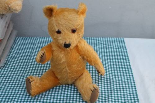 Hard Bodied Teddy Bear