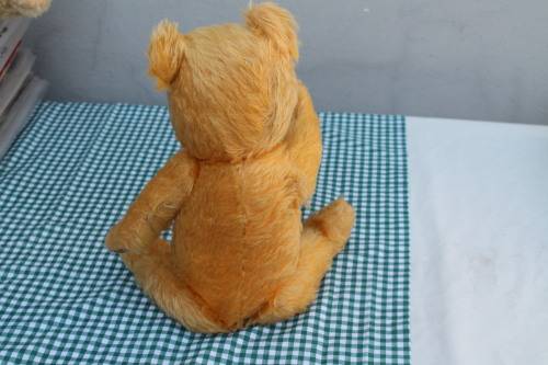 Hard Bodied Teddy Bear