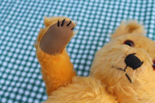 Hard Bodied Teddy Bear