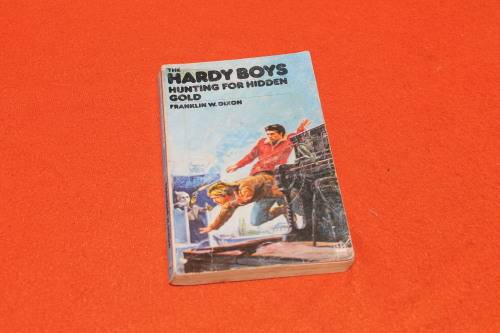 The Hardy Boys  Hunting for Hidden gold