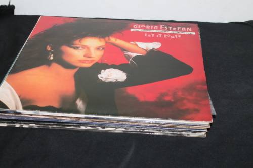 Gloria Estefan Let it Loose