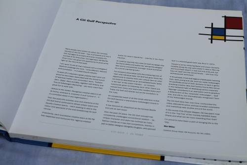 Citi Golf  Re in car nation