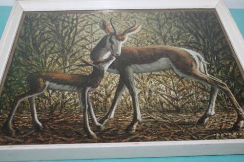 Framed Tretchikoff print of Springboks