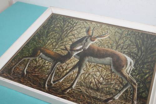 Framed Tretchikoff print of Springboks