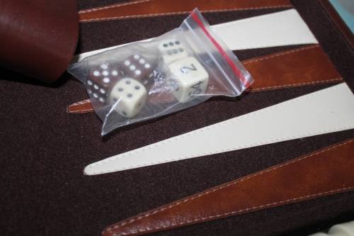 Backgammon in Case