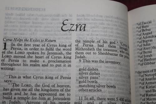 Large Holy Bible New International Version