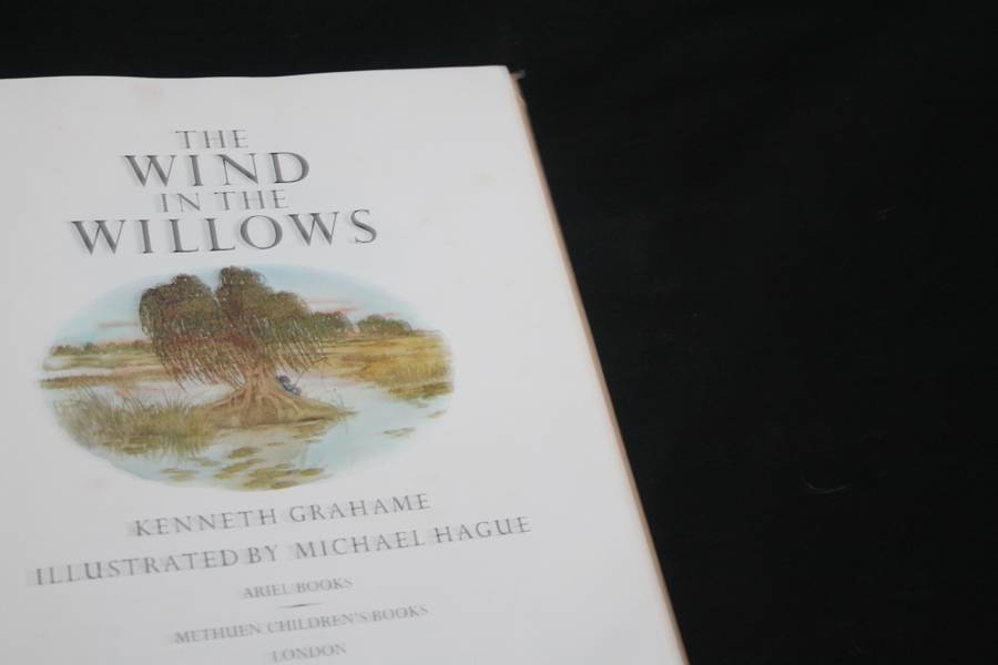 The wind in the willows