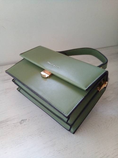 Ladies handbags(Charles and Keith)