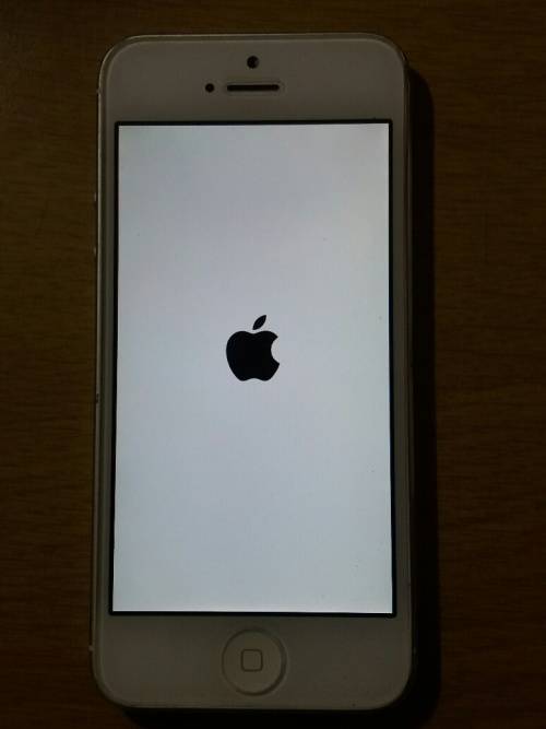 IPHONE 5G (FOR SPARES/ REPAIRS)