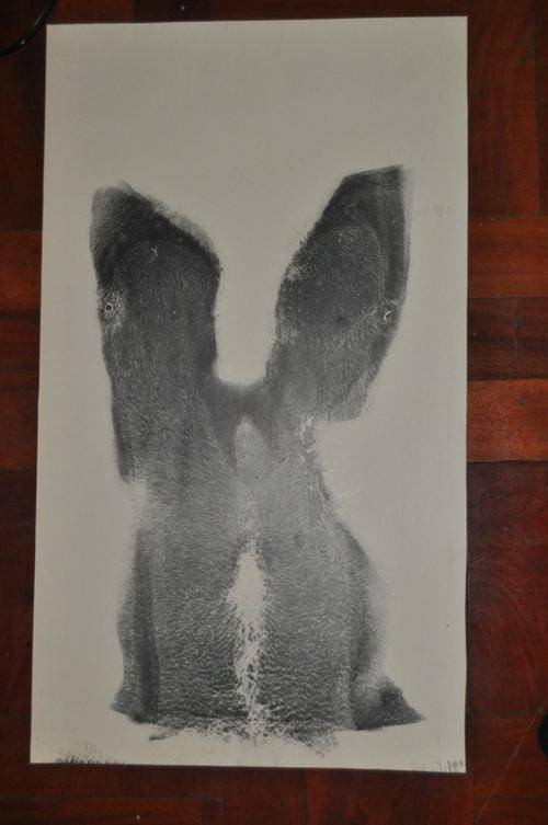 ORIGINAL ACRYLIC ON CARTON-MALE TORSO