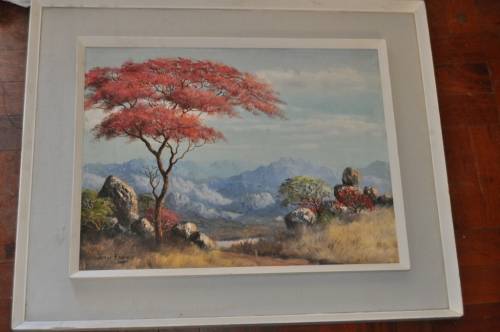 WOW!!! GREAT INVESTMENT RHODESIAN ARTIST-OIL ON BOARD BY FAMOUS JOAN EVANS!!!!