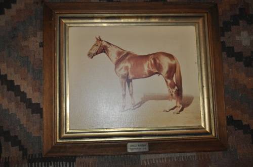 FRAMED OLEO GRAM OF HORSE