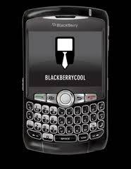 Like New - Blackberry 8310