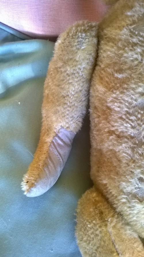 TEDDY BEAR