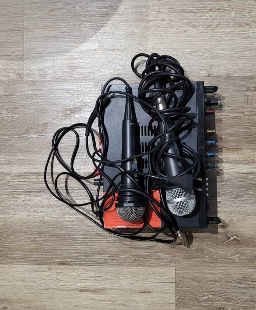 Karaoke amplifier with two mikes