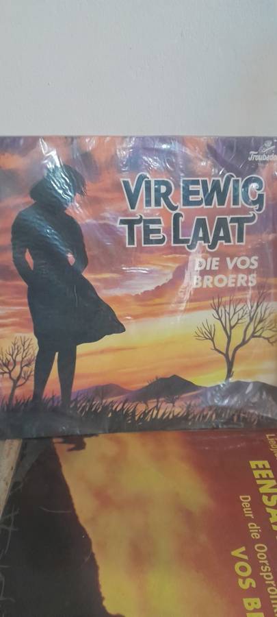 Die Vos Broers - Vir ewig te laat