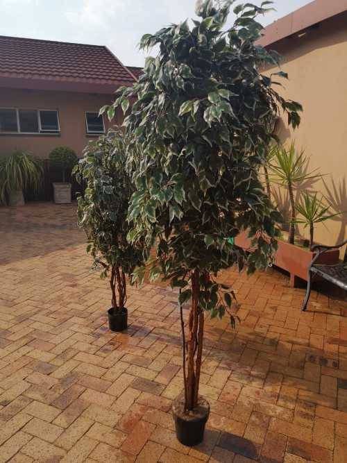 2 trees artificial as a lot