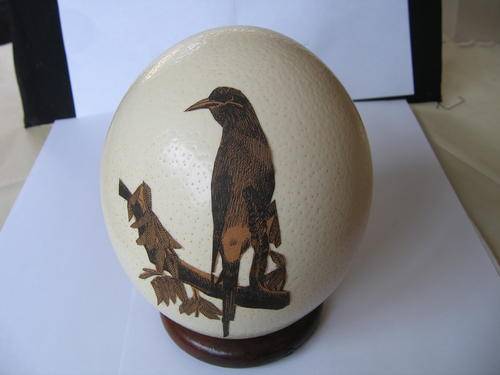 Ostrige Egg