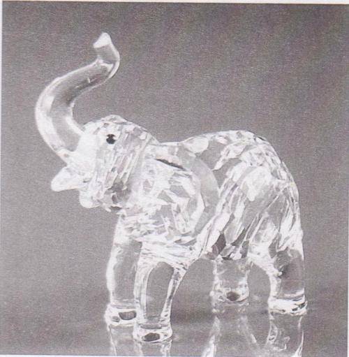 Baby Elephant