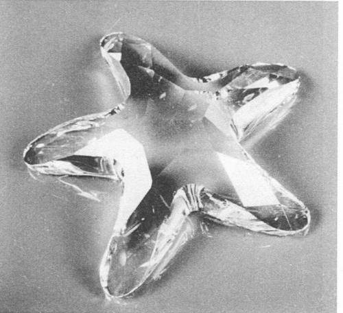 Member's Starfish - Retired