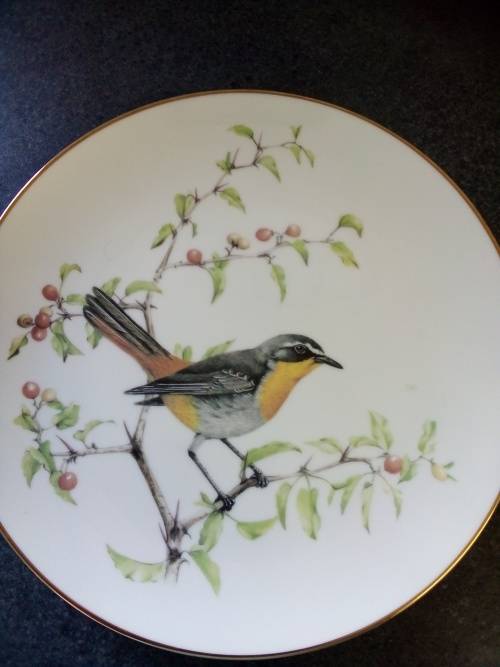 In Excellent Condition Jill Adams(1983) Complete set "Best Loved Birds Of Southern Africa"