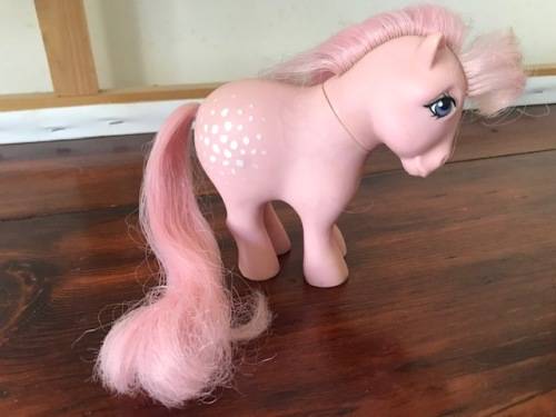 My Little Pony G1 Cotton Candy (2)