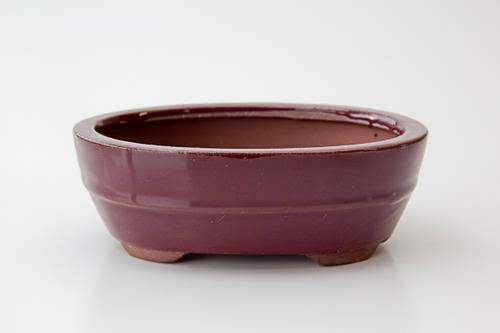 bonsai pots ceramics containers