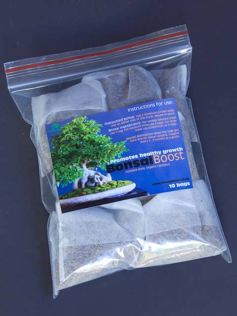 bonsai leca fired clay root development