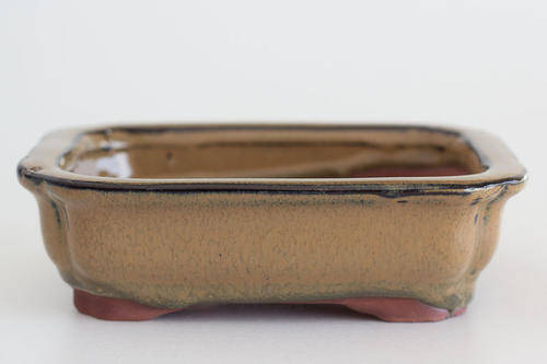 6" Glazed Bonsai Container