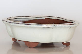 Glazed Bonsai Container, 20.5 x 17 x 6.5cm