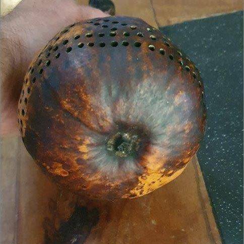Stunning Hand Crafted Maracas Musical Instrument