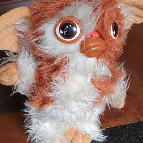 *Cute little Gismo from The Movie Gremlins.*