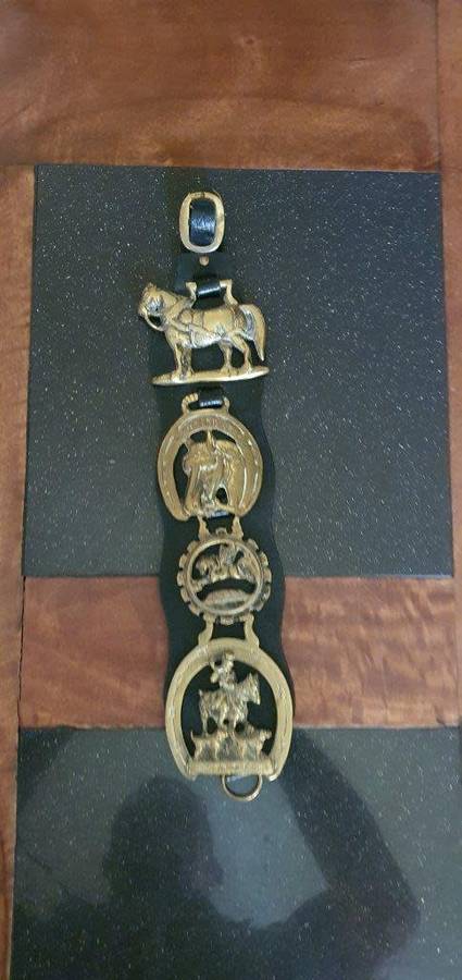 Vintage  Brass Horse Medallions on Leather Bridal.