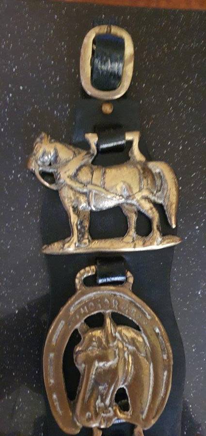 Vintage  Brass Horse Medallions on Leather Bridal.