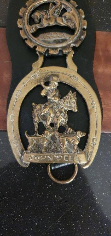 Vintage  Brass Horse Medallions on Leather Bridal.