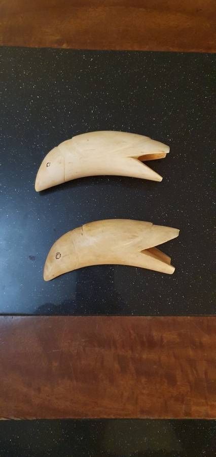 2 X Vintage  Sperm Whale Teeth