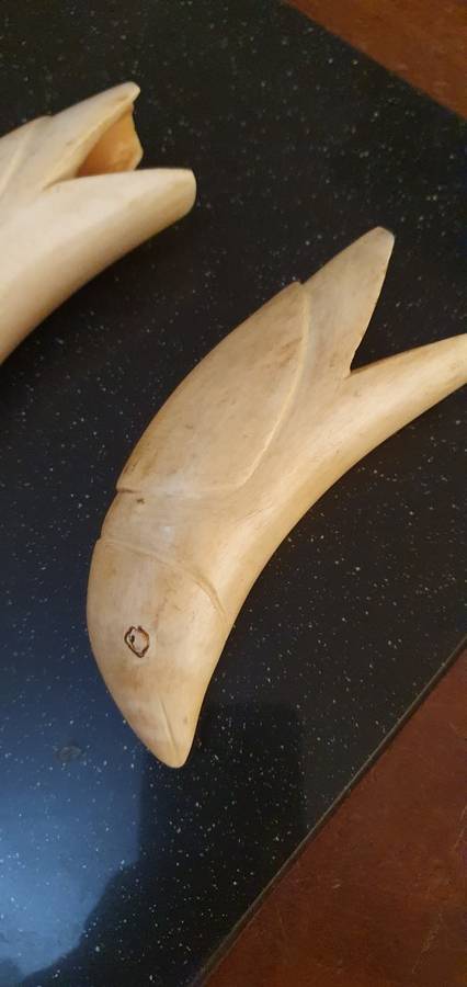 2 X Vintage  Sperm Whale Teeth