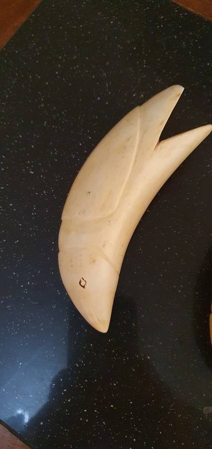 2 X Vintage  Sperm Whale Teeth